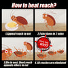 Cithway® Quickatch Roach Ace Bait Station